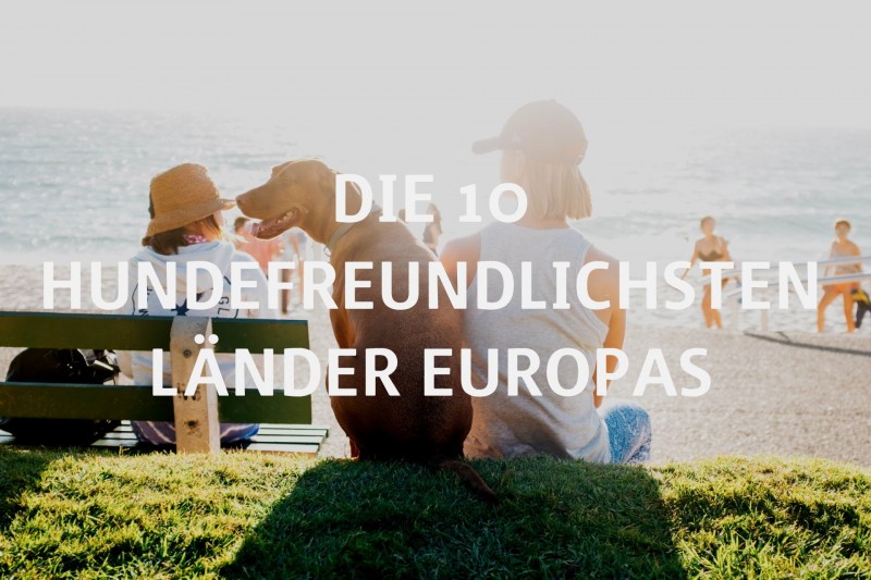 Urlaub mit Hund geplant? Wir zeigen Dir die 10 besten Länder in Europa