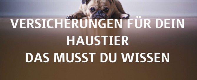 Versicherungen für Dein Haustier - das musst Du wissen_Titelbild